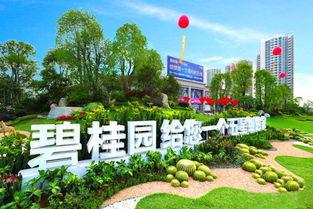 开封碧桂园爆料最新消息,揭秘项目进展与未来规划  第1张