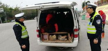 泉州面包车爆料视频最新,揭秘城市生活背后不为人知的真相 第1张 泉州面包车爆料视频最新,揭秘城市生活背后不为人知的真相 第1张