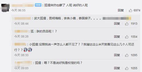 武汉网红爆料视频播放,武汉网红爆料视频引发热议