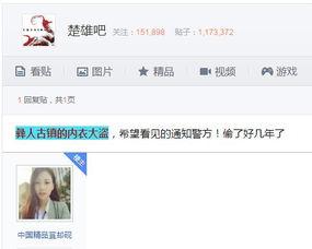 大盗爆料视频大全下载,惊心动魄的盗界风云  第1张