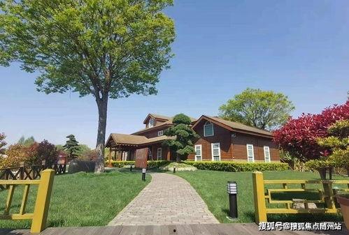 平安五华最新爆料消息查询,揭秘背后惊人真相 第2张 平安五华最新爆料消息查询,揭秘背后惊人真相 第2张