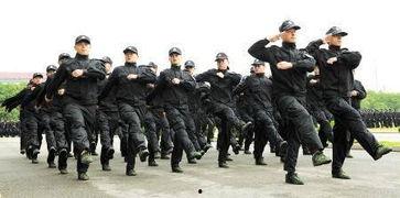 营口辅警最新爆料,揭秘背后真相与内幕  第1张