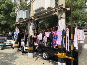 宜兴事件爆料最新情况 第1张 宜兴事件爆料最新情况 第1张